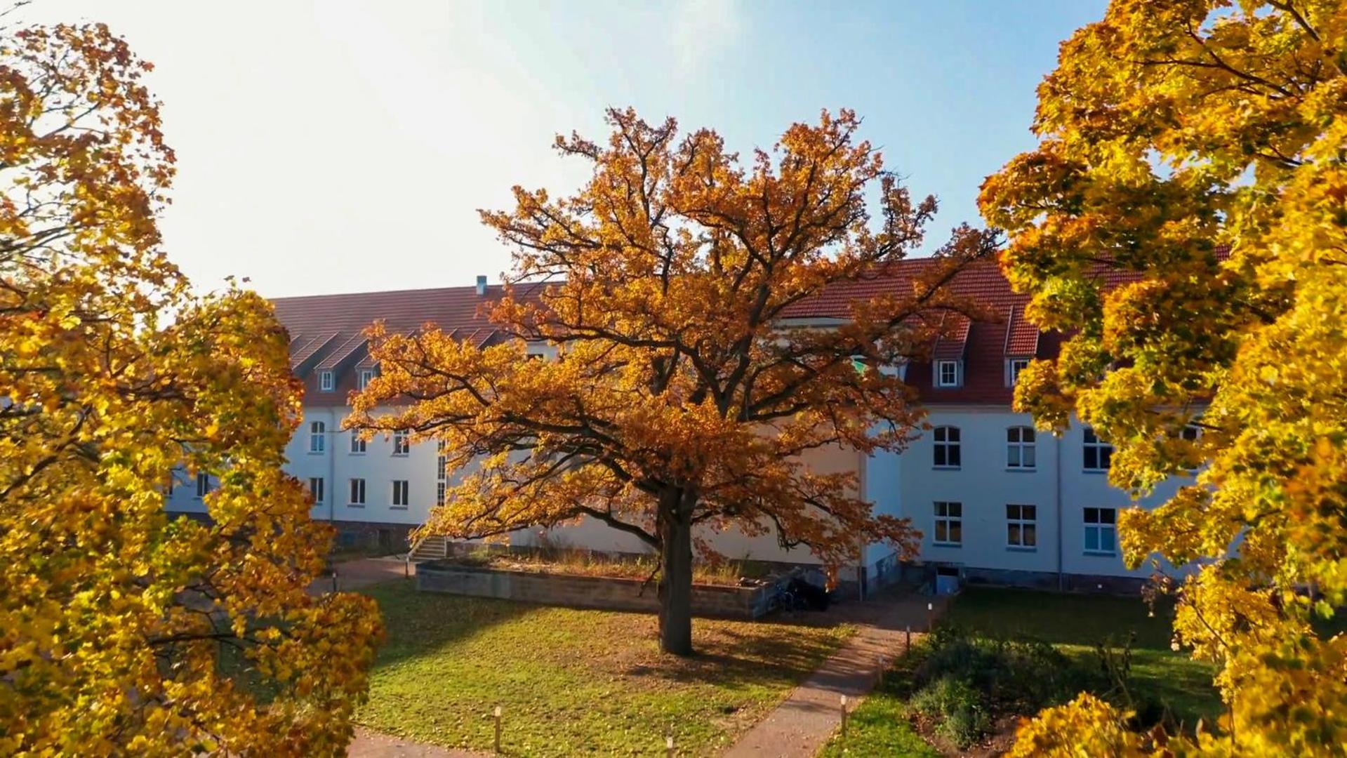 Parkresidenz Lychen, Ferienwohnung 7 Exterior foto